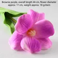 Brownie Flower Purple