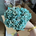 Natural amazonite chips stone strands for DIY jewelry making and money tree crafts - Amazonite