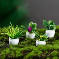 Miniature dollhouse plants with colorful flowers in white pots on green grass - Full Assorted Set Style