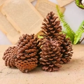 Natural dried pine cones in dark brown for rustic Christmas home decor and DIY crafts - Natural US Pine Cone 8-10cm