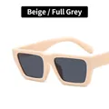 Gafas de sol cuadradas retro beige con lentes grises para un look urbano muy moderno - Montura Cuadrada / Bisagra de Metal / Beige