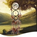 Wolf head oil painting dream catcher with brown feathers and beads for home wall decor - Green Wolf (MS6852)