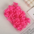 Preserved hydrangea flower in rose red color packaged in a transparent plastic box - 5g / Rose Red