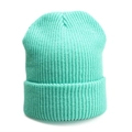 Unisex mint green ribbed knit beanie hat with a wide folded cuff for winter warmth - One Size / Elastic / Bean Green