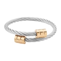 Gedraaide kabelarmband van roestvrij staal met roségouden cilindrische uiteinden - Zilver en Goud