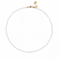 Elegant rice pearl necklace with gold-plated clasp and adjustable chain on white background - Rice Bead 4*6mm / Beige