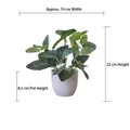 Artificial potted plant dimensions showing 22cm total height and 19cm width detail - Small Pot + Monstera Leaf