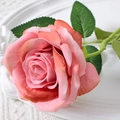 Pink gradient faux silk rose with green leaves on a white embossed decorative plate - 10cm / Large Velvet Autumn Pink