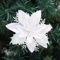 White Christmas poinsettia flower with glitter petals on green tree branches - 14.5cm / Pure White