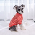 Classic orange-red knit dog sweater with ribbed cuffs on a grey Schnauzer pet model - XS / Classic Sweater / Red