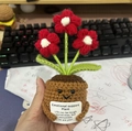 Handmade emotional support crochet red flower plant in brown pot with positive card - Red Small Flower