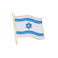 Spilla in metallo bandiera Israele con cornice dorata e stella di David blu dettagliata - Bandiera Ondulata di Israele