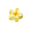 Frangipani hair claw clip with yellow and white gradient finish for tropical styling - Bulk Packaging / Yellow Gradient
