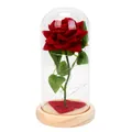 Rosa rossa eterna in cupola di vetro con luci LED e base in legno naturale - Cupola in Acrilico / Rosso