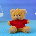 Adorable brown teddy bear plush toy wearing a bright red t-shirt keychain accessory - 12cm (Bead Chain) / Brown (Red T-shirt)