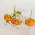 Artificial orange corn poppy branch with three silk flowers and one bud on a magazine - Orange