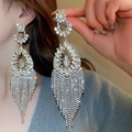 Detail of silver long tassel rhinestone earrings worn by model showing sparkling shimmer - Extra Long Rhinestone Tassel Style (25#银针-银色)