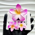 Pink and purple gradient plumeria flower hair claw clip set with yellow center highlights - Pink Craft Set (including Card)