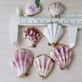 Vergoldete natürliche Muschelanhänger in verschiedenen Farben, ca. 25-30 mm groß - Lotuswurzelfarben geränderte dicke Jakobsmuschel