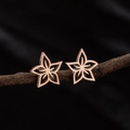 Elegant rose gold star-shaped stud earrings with cutout design on natural branch - Rose Gold