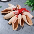 Natural shell whistle whistle craft for kids with red string on marble surface - Gourd Shell Horn 7-11cm (No Pattern)