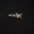 Elegant butterfly hair clip with pink cat eye stone and diamonds on silver base - Butterfly / Pink