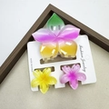 Frangipani hair claw set with gradient marble floral clips on display card - Rainbow-patterned Five-petaled Flower + Frangipani Flower Set #2 (includes Card)