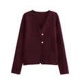 Klassiek slim fit bordeauxrood vest met V-hals en elegante goudkleurige knopen - Bordeauxrood