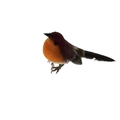 Lifelike faux feather robin bird Christmas tree ornament for home holiday decor - New Style / Green/Orange