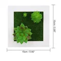 Square white wooden frame with realistic green succulents and 15cm dimension markers - Style 21A