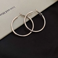 Detailed close-up of silver hoop earrings with polished finish and hinged clasp - 925 Silver Needle / Silver - Small (4cm)