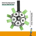 Interactive soccer dog ball 19cm with nylon grab tabs and blue manual air pump - Upgraded / 19cm (Size M)
