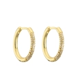 Eleganti orecchini a cerchio dorati con micro-pavé di zirconi cubici scintillanti - Oro Zircone Bianco