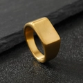 Minimalist gold titanium steel signet ring with a brushed rectangular surface for men - US 9 / 11mm Matte Rectangle / Gold