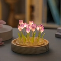 Single Glass Dome (No Flowers No Base) 9 Purple Tulips