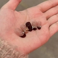 Dettaglio delle unghie finte fatte a mano bordeaux e rosa nude con strass a fiocco - Fiocco Viola Brillante (BY1389) / 30 Pezzi/Confezione (Tipo di Colla per Fototerapia)