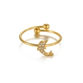 Ring aus 18K vergoldetem Edelstahl mit funkelndem Delphin-Motiv und Kristallen - Gold - Delfinform