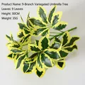 Artificial 30cm variegated 9-head Schefflera plant with green and yellow leaves - 9-Head Schefflera Variegated