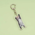 Cartoon tabby cat stretching acrylic keychain with silver metal lobster clasp on green - Hug Style