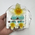 Detail of glitter resin plumeria hair claw clip set in yellow and green gradient - First Love Snowflake Blue Set (with Card)