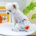 Dog sanitary panty with cute colorful cartoon print and white lace mesh tutu skirt - Fairy Tale Kingdom