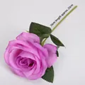 Bobo Ball Rose Purple