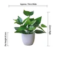 Detail showing artificial green radish plant in white pot with 22cm height dimensions - Small Pot + Green Radish