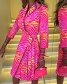 Detail of V-neck zebra print pleated dress with silver buckle belt and matching handbag - Zebra Print Style (5058 Stripes)
