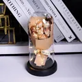 Nahaufnahme von Champagner-Rosen in Glaskuppel mit warmem LED-Licht und Dekobüchern - Warmweiße Lichter + Glaskuppel + Rosa Geschenkkarton / Cappuccino-Rose