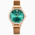 Montre quartz femme avec cadran vert soleil et bracelet en maille d'or rose sur fond blanc - Bracelet Or Cadran Vert