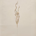 Close-up of a 45cm gold glittery decorative branch with wavy curly twigs for Xmas - Painted Gold