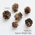 Lot de 6 pommes de pin naturelles 3-4cm pour déco de Noël et bricolage DIY - Fleur de pin / Lot de 6 / Marron Foncé