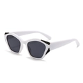Moderne Cat-Eye-Sonnenbrille mit weißem Geometrie-Rahmen, dunklen Gläsern und Dekor - C6 Weißer Rahmen Schwarzgrau