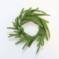 Corona de velas de agujas de pino de Norfolk PE para decoración navideña y del hogar - Anillo de vela de pino de Norfolk / Especificación Estándar